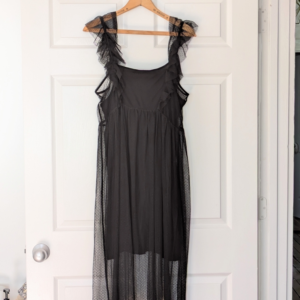Anthropologie Maeve Sheer Flutter Lace Swiss Dot Net Party Dress NYE Medium